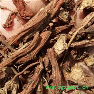 野生丹参 可以机切供药店图2