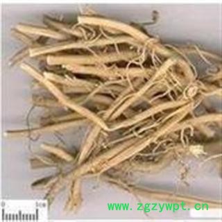 白前  水杨柳、鹅白前、草白前、白马虎图3