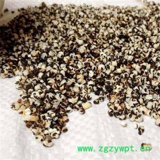 王不留行 统货 产地 甘肃省 买好药找娟子图4