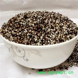 王不留行 统货 产地 甘肃省 买好药找娟子图3