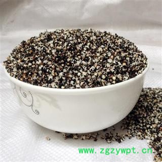 王不留行 统货 产地 甘肃省 买好药找娟子图2