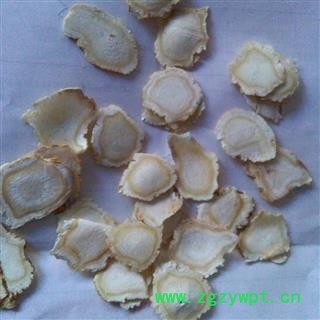 吉康药业人参 长白山人参 白参片人参片软质片1.4以上图2