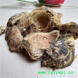 大腹皮 大腹皮新货统货 产地 广西壮族自治区图2