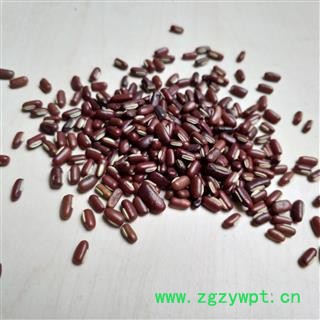 赤小豆 赤小豆选货 产地 山西省图2