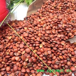 酸枣仁 酸枣仁饱满精选货 产地 河北省图2