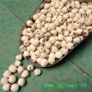 白莲子 江西空心剥皮白莲子选货 产地 江西省 批发各种冷背中草药个子图2
