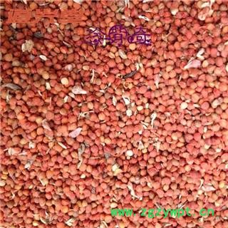 楮实子 楮实子净货 产地 黑龙江省 批发各种冷背中草药个子图3