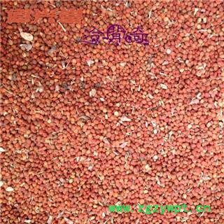 楮实子 楮实子净货 产地 黑龙江省 批发各种冷背中草药个子图2