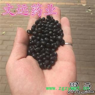 黑豆 选装 产地 河南省图2