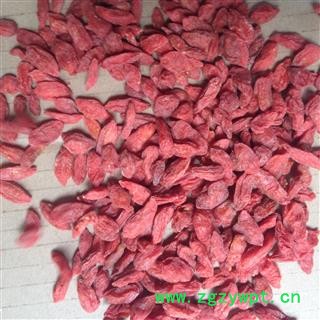 枸杞子 宁夏枸杞280 产地 宁夏回族自治区中卫市中宁县图2