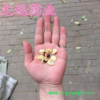 桃仁 选装 产地 新疆维吾尔自治区图2