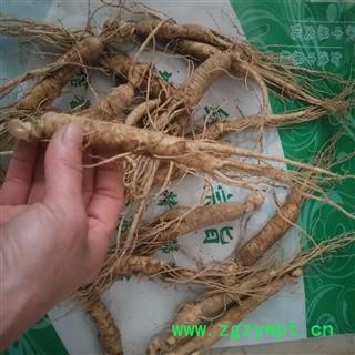 新辉药业长白山鲜参 鲜土参 煲汤泡酒图2