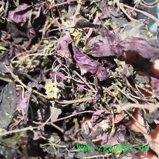 新辉药业风骨草 风骨木  风柜斗草  新货颜色漂亮图2