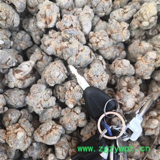 新辉药业三七  水洗不打蜡30头三七 适合打粉图3