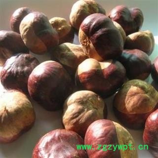 娑罗子 苏罗子 棱罗子 统 产地 海外图3