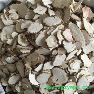 新辉药业道地中药材白芷图2