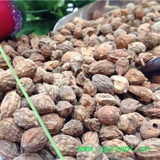 益智仁 统 产地 海南省海口市市辖区图3