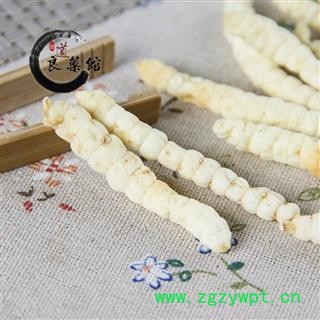 地蚕选货土冬虫草、白冬虫草、白虫草、肺痨草药典标准 100克直销图2