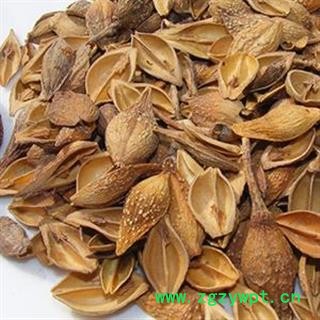 连翘 老翘（黄翘）统货 产地 山西省 买好药找娟子图2