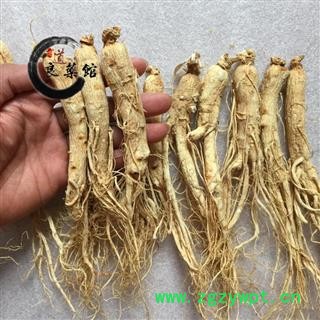 人参 生晒参35支药典标准 地道良药馆 500克直销图3