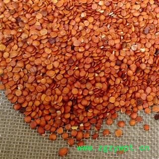 娟子中药  酸枣仁 进口 产地 海外图4