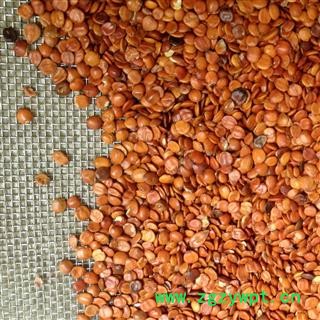 娟子中药 酸枣仁 进口 产地 海外图2