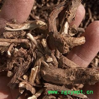 墓头回 新品促销全野生精选无土无杂大切片小切段 产地 河南省平顶山市汝州市图3