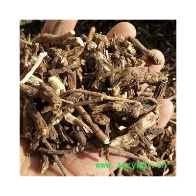 墓头回 新品促销全野生精选无土无杂大切片小切段 产地 河南省平顶山市汝州市