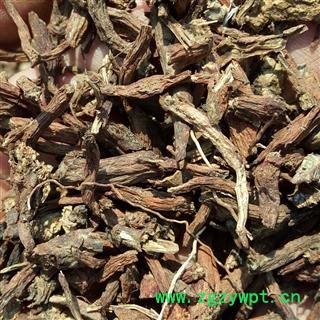 野生丹参 可以机切供药店图4