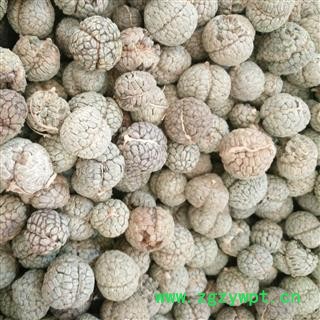 草豆蔻 海南草豆蔻统货 产地 海南省图2