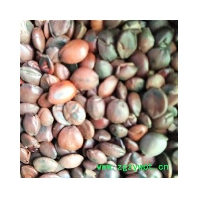 酸枣仁 国产酸枣仁 纯正品酸枣仁 酸枣仁95货 产地 山西省