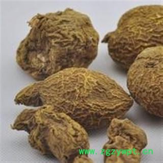 吉康药业金果揽 九牛胆 金榄 金牛胆 地苦胆个子图2