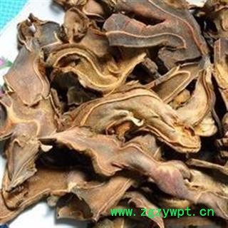 吉康药业狗脊片 金毛狗脊 狗脊片 毛狗 金狗毛蕨图2