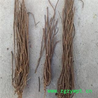 吉康药业铁灵仙 铁丝根、铁脚威灵仙、铁杆威灵仙、铁灵仙图2