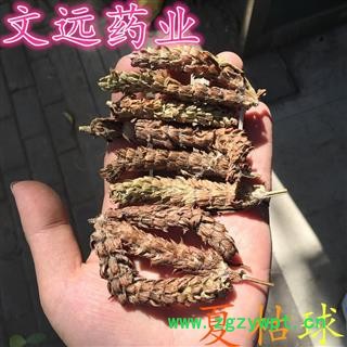 夏枯球 夏枯球 统装 产地 亳州药市图2