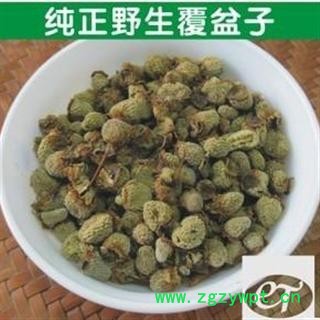 覆盆子 大统装 大覆盆子 产地 浙江省图2