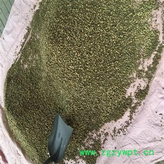 覆盆子 大统装 大覆盆子 产地 浙江省图4