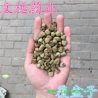 覆盆子 大统装 大覆盆子 产地 浙江省图3