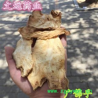 佛手 大片 产地 广西壮族自治区图2