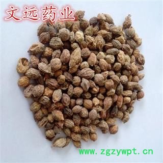 益智仁 益智统货 产地 广西壮族自治区图2