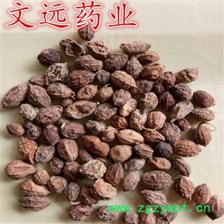 益智仁 益智统货 产地 广西壮族自治区图3