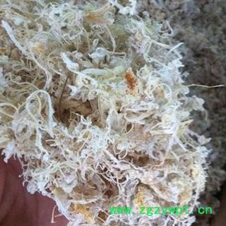 橘络 统装桔络 产地 湖北省襄阳市市辖区图2