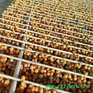 瓜蒌皮 统 无硫 瓜蒌 产地 河南省新乡市图3