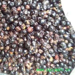 吉康药业射干 射干子 新货射干种子射干籽 嫩子少 发芽率85%图2