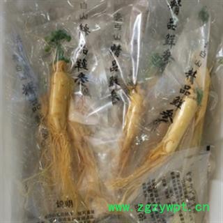 新辉药业吉林人参  保鲜参  泡酒煲汤炖料最佳图2