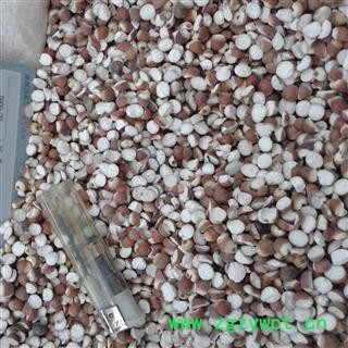 芡实 两瓣开芡实大粒 对半开芡实 产地 广东省图2