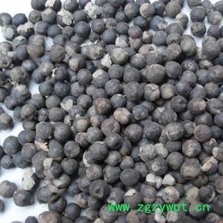 蔓荆子 江西蔓荆子大粒选货 产地 江西省图2