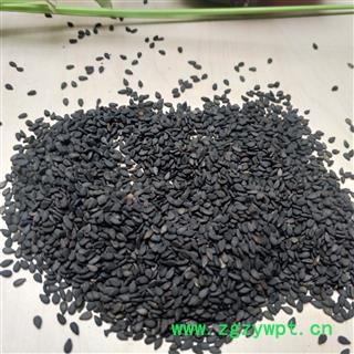 黑芝麻 选货 产地 安徽省图2