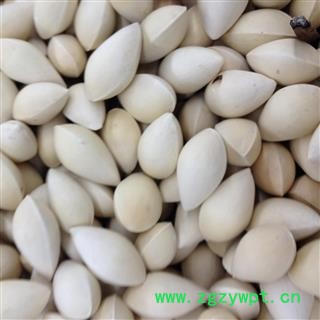 白果 银杏 白果选货 产地 江苏省图2