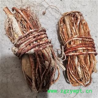 新辉药业五指毛桃 五指榕 五指牛奶 五指香 土黄芪 三爪龙 五爪龙、五爪桃、图2